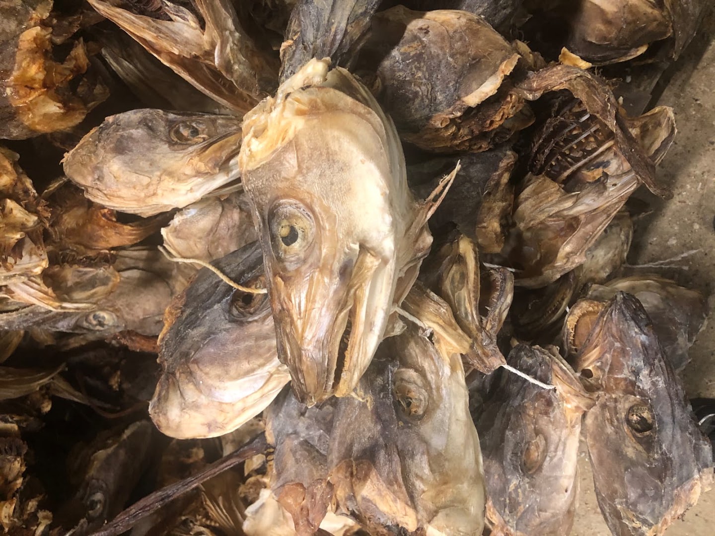 Seafood Marketplace AS · Bilder 1